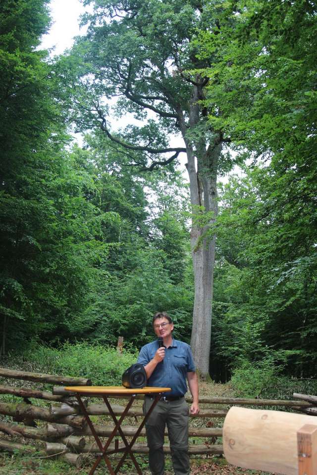 der Präsident der Deutschen Dendrologischen Gesellschaft, Eike Jablonski, erläutert die Auszeichnung