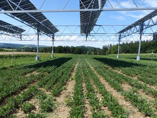 Agri-PV